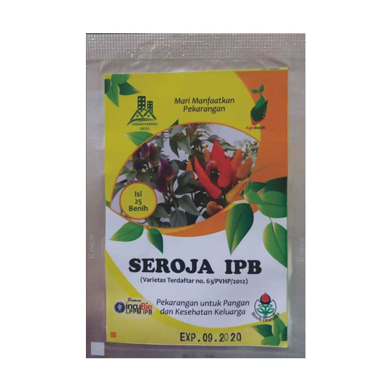 Benih Cabe Hias Seroja IPB