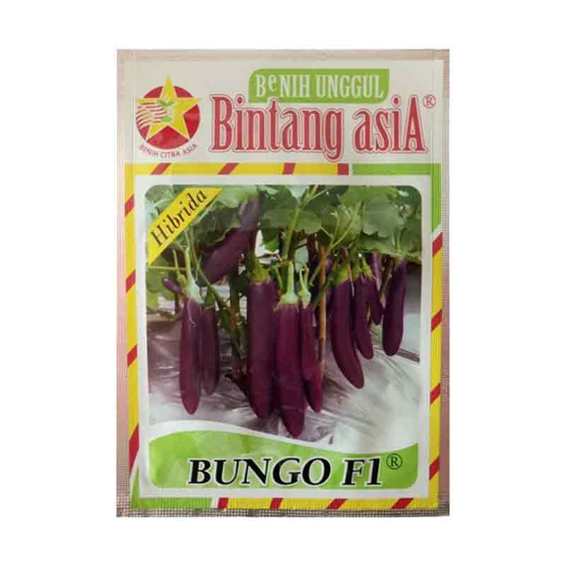 Benih Terong Bungo F1 (Medium)