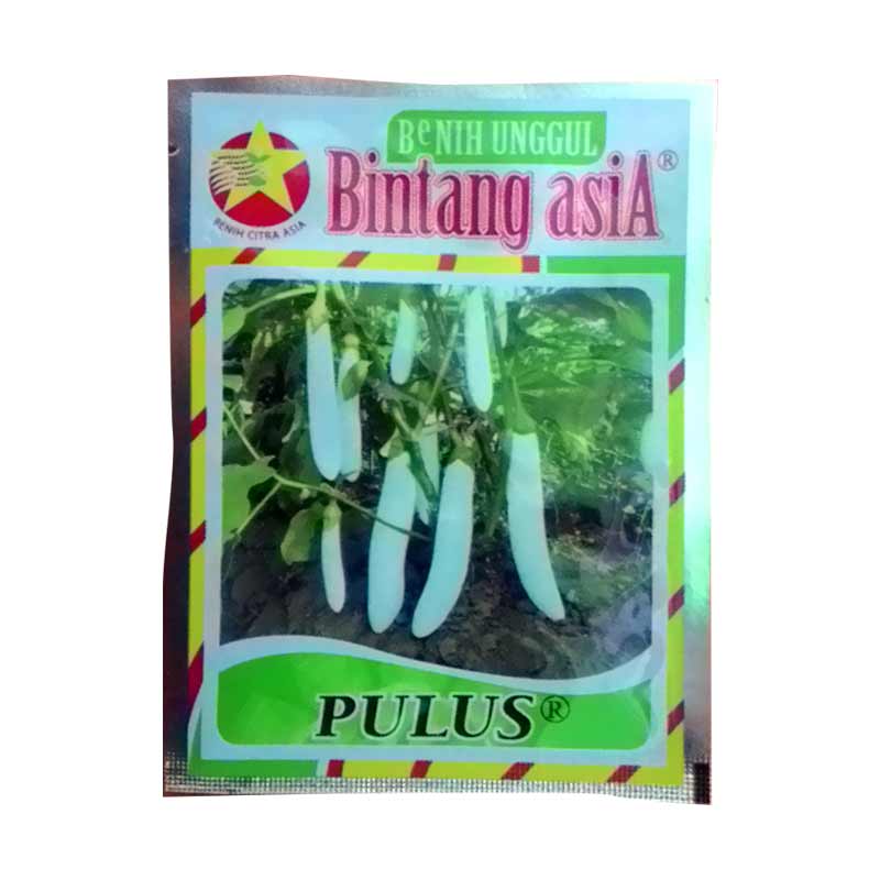 Benih Terong Putih Pulus (Small Pouch)