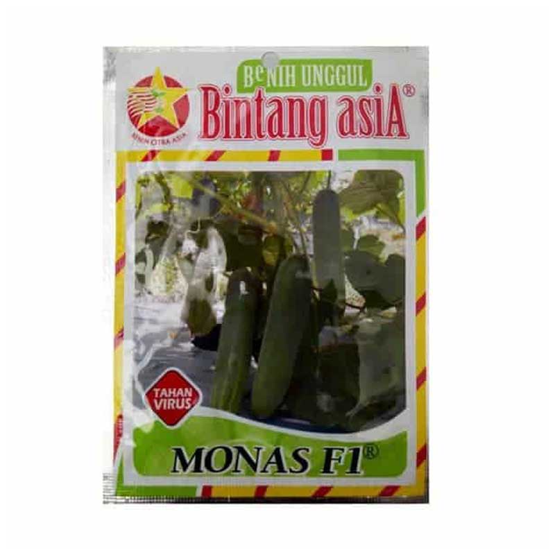 Benih Mentimun Monas F1 (Medium)