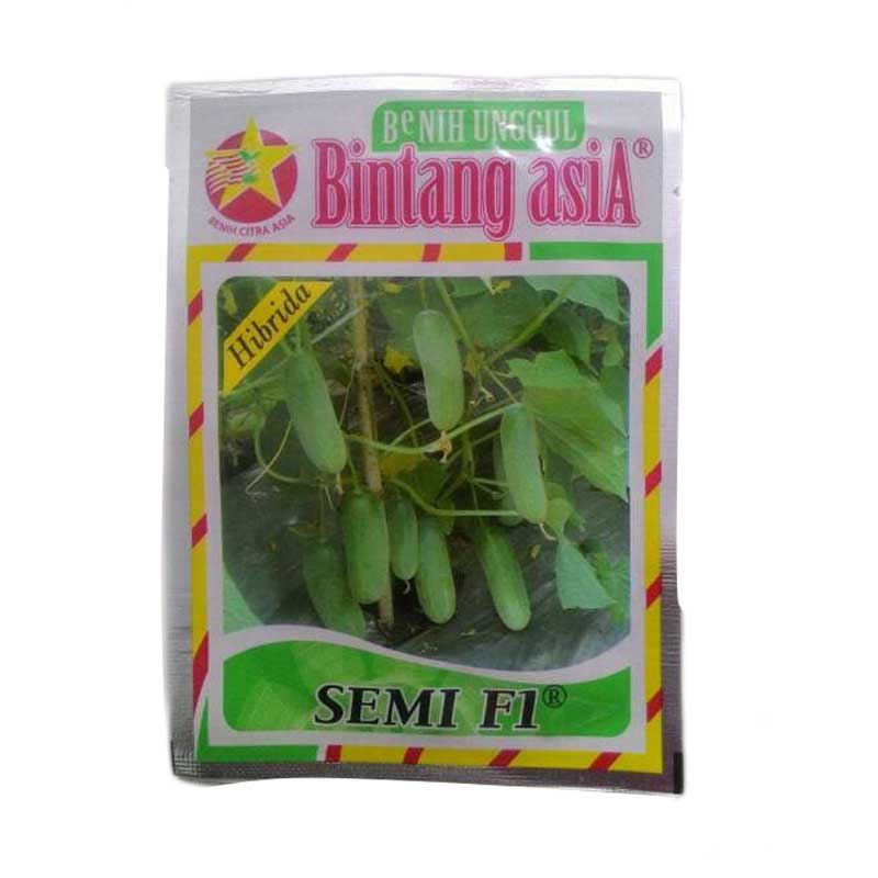 Benih Mentimun Semi F1 Large
