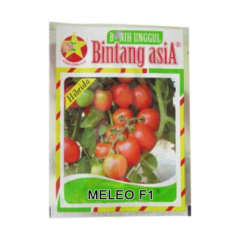 Bibit Tomat Maleo F1 (Small Pouch)